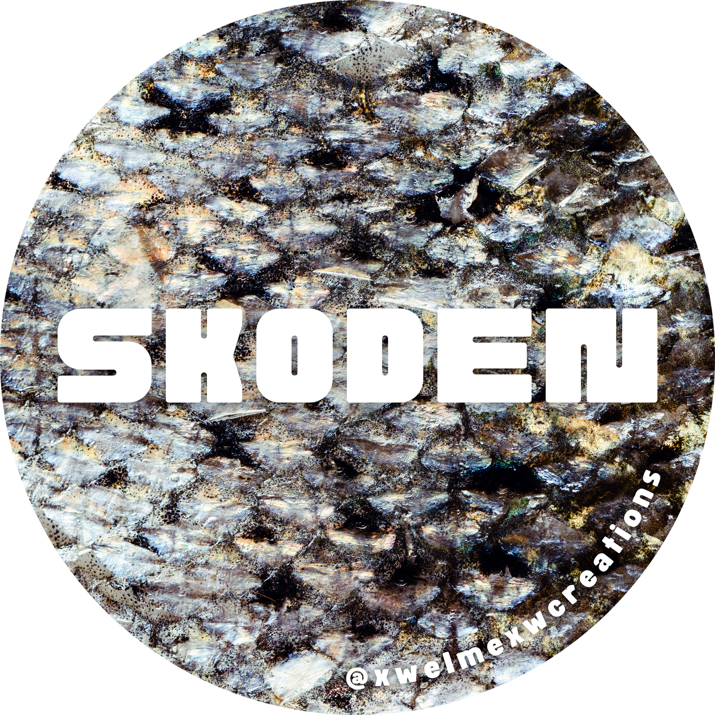 skoden (salmon)